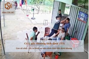 Cố ý gây thương tích dưới 11 phân trăm