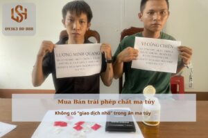 Mua Bán trái phép chất ma túy