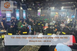 Tội chứa chấp việc sử dụng trái phép chất ma túy